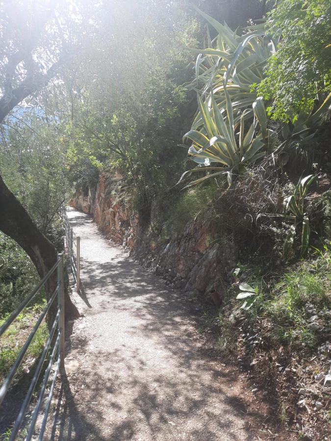 Dro Suite Dış mekan fotoğraf