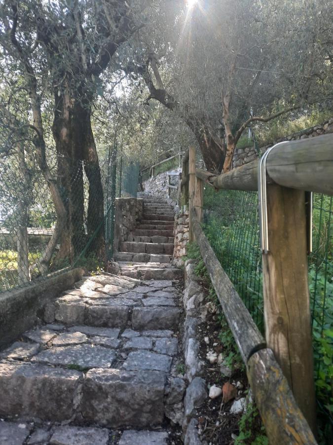 Dro Suite Dış mekan fotoğraf