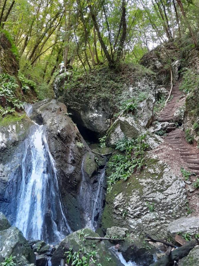Dro Suite Dış mekan fotoğraf